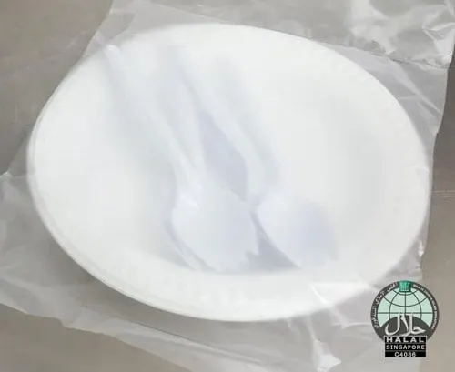 Disposable Plastic Plates & Spoons (6pc/pk)